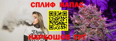 бошки Шахты