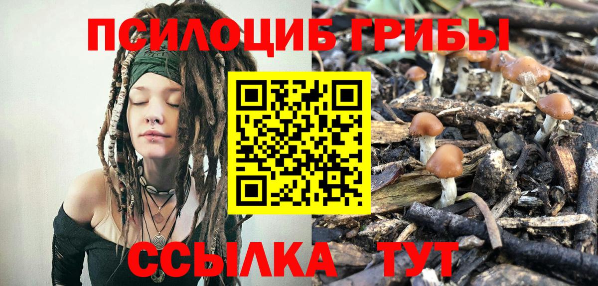 Галлюциногенные грибы мухоморы  Вход с VPN  Галлюциногенные грибы Psilocybe  Нефтеюганск 